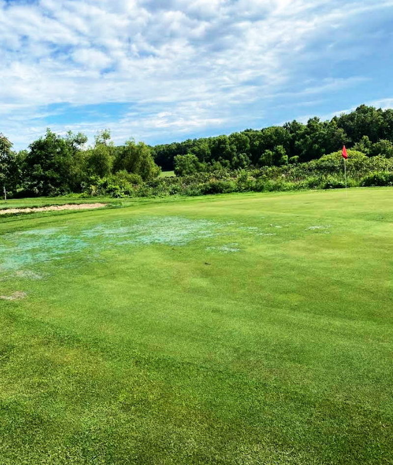 Gauci Golf Resort (Irish Hills Golf Club) - From Web Listing